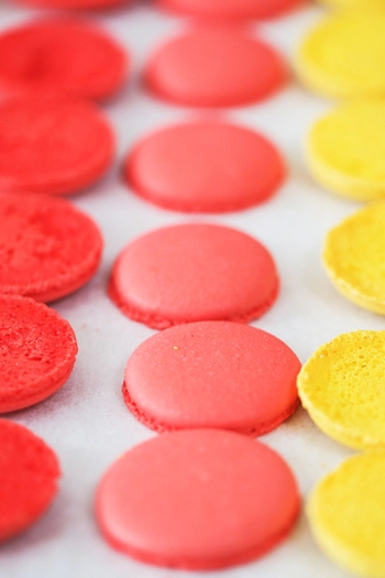 Macarons Pâtisserie-Set